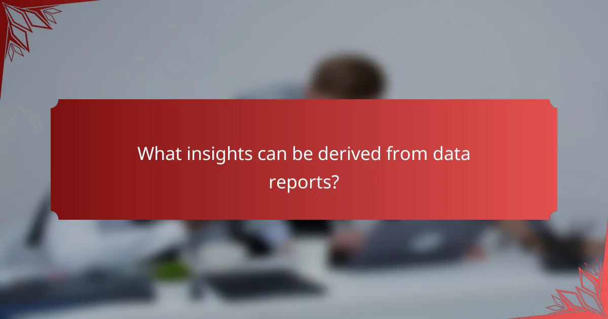 What insights can be derived from data reports?